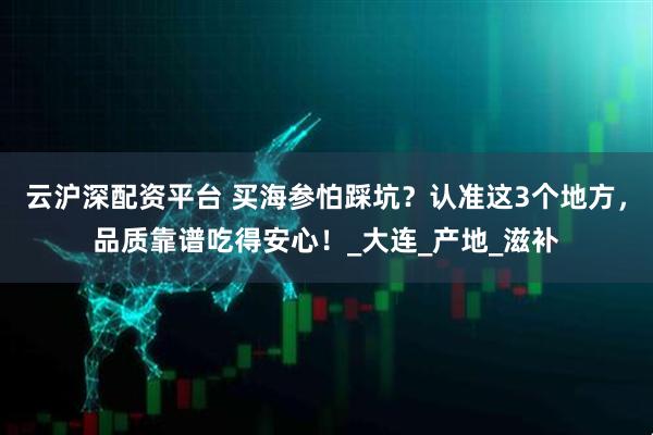 云沪深配资平台 买海参怕踩坑？认准这3个地方，品质靠谱吃得安心！_大连_产地_滋补