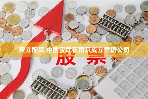 毅立配资 中国宝武在南京成立营销公司